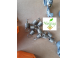 Pinioane semanatoare nordsten l ift o matic tf 0745050461 tf 074799985 utilaje agricole si industriale 803136 poza 6